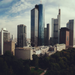 frankfurt.jpg