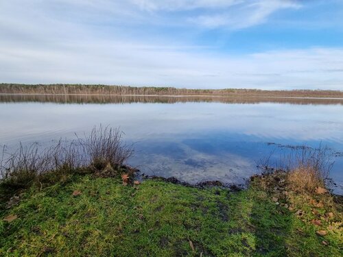 Fl&auml;chennutzungsplan Schwielochsee